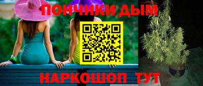 Альфа ПВП Обь