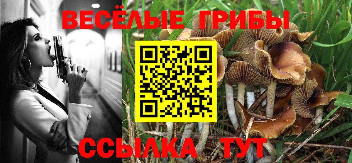 Псилоцибиновые грибы Magic Shrooms Среднеуральск